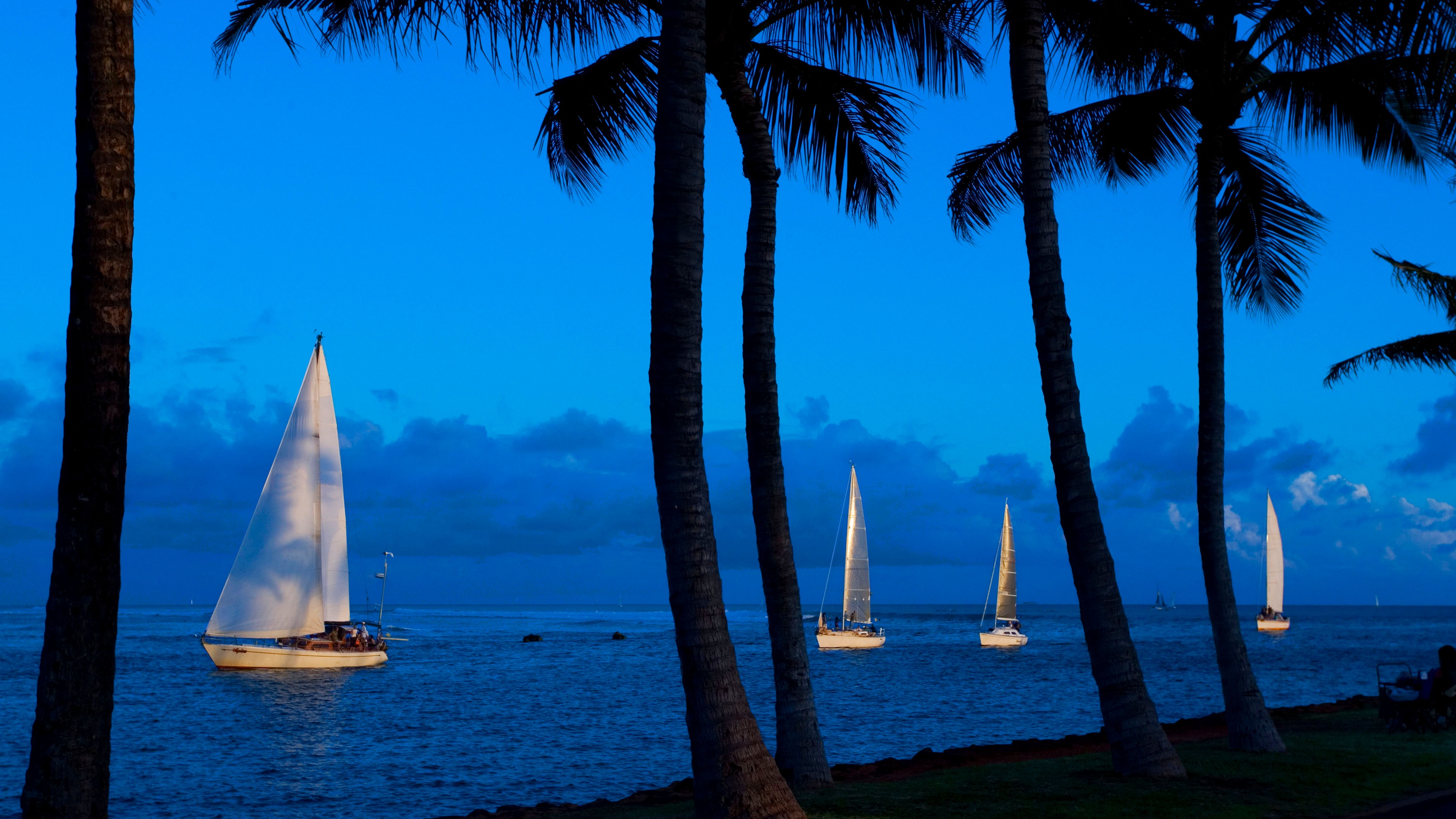 Cruising into the Night: A Sunset Sailing Adventure