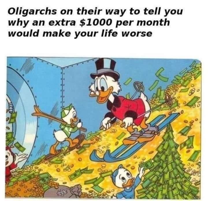 Understanding Oligarchy in a Nutshell