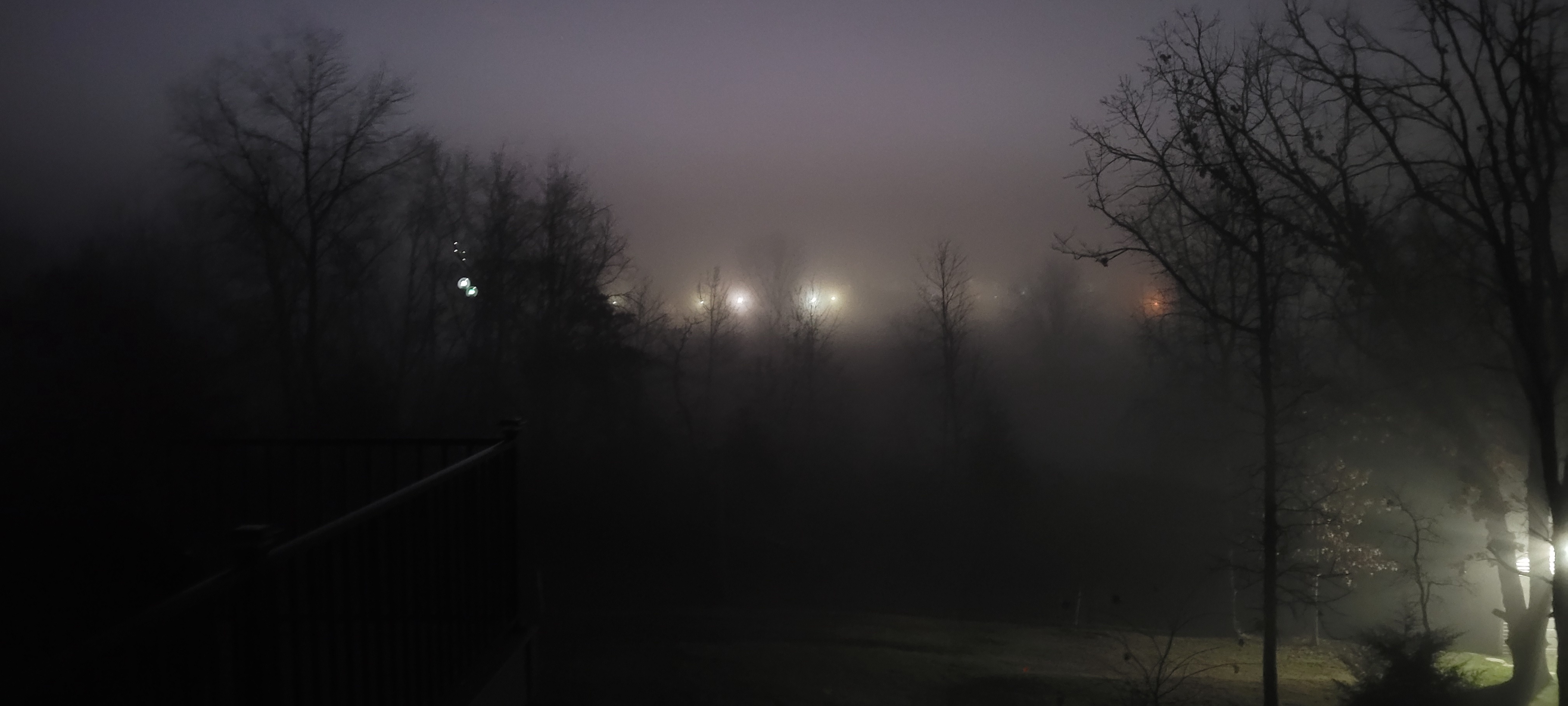 A Mystical View Through the Fun Fog