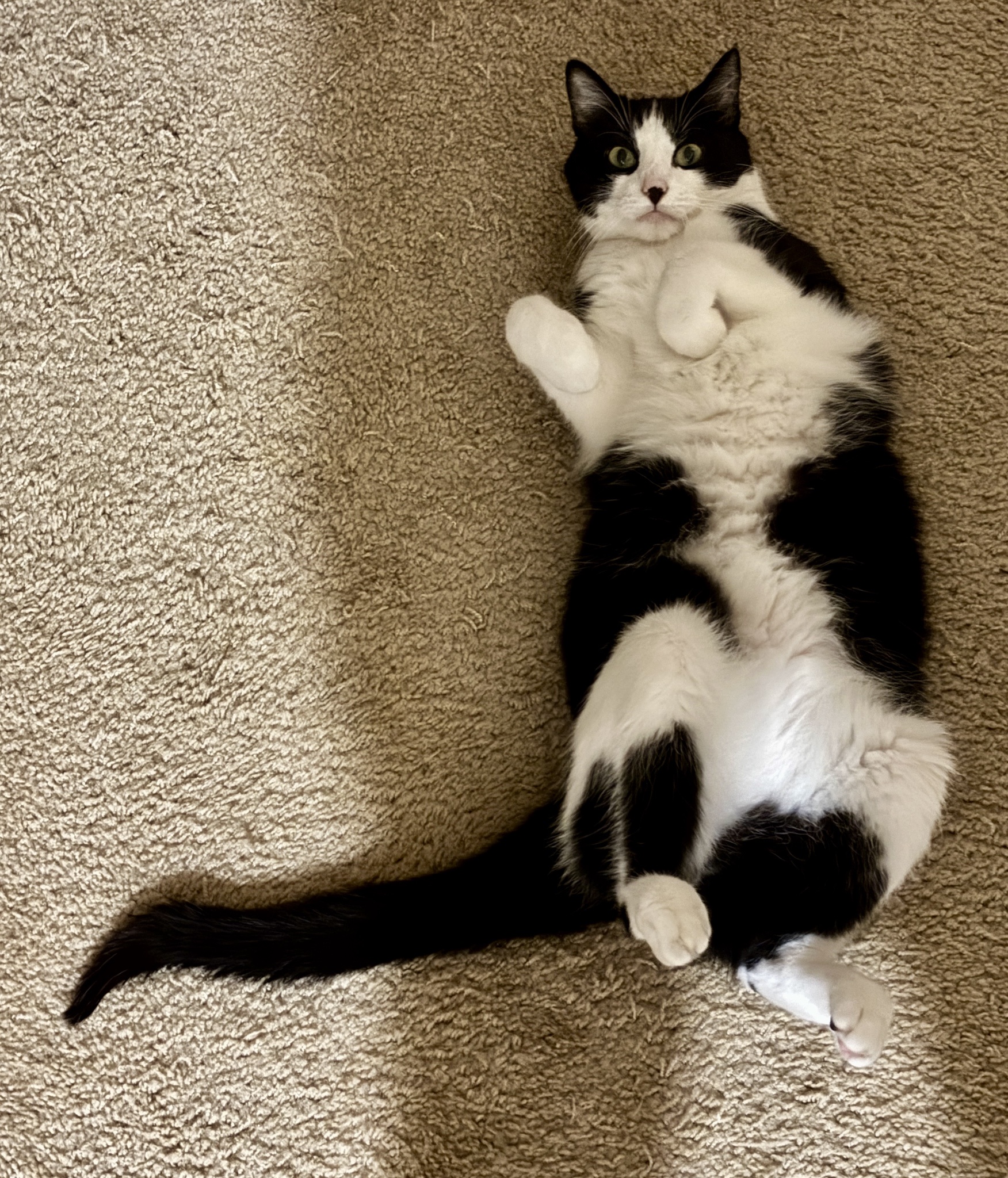 Oh, You Came Home Earlier Than Expected