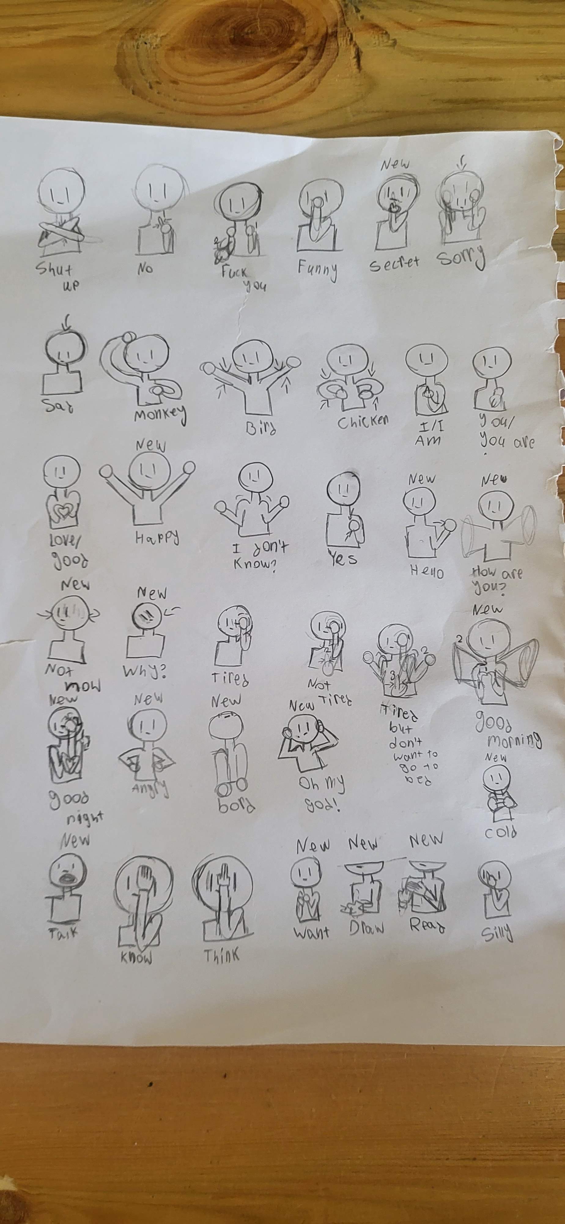 My daughters are crafting their own secret sign language to keep their little brother in the dark