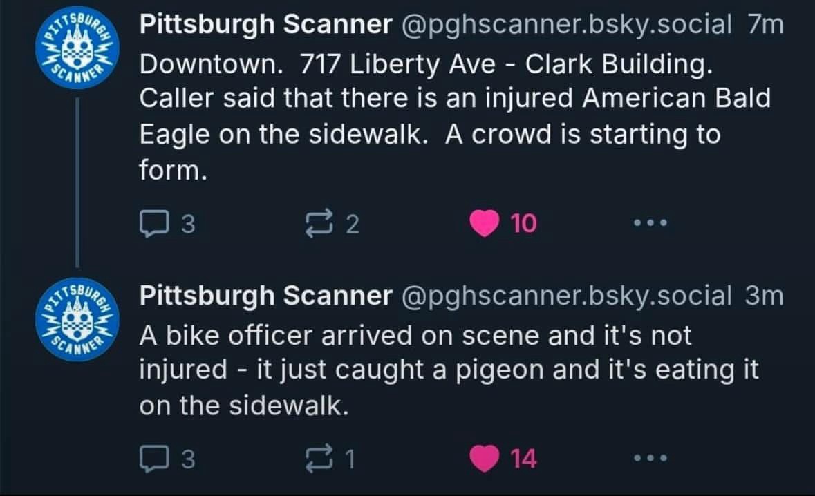 A Glimpse of Life in Pittsburgh...