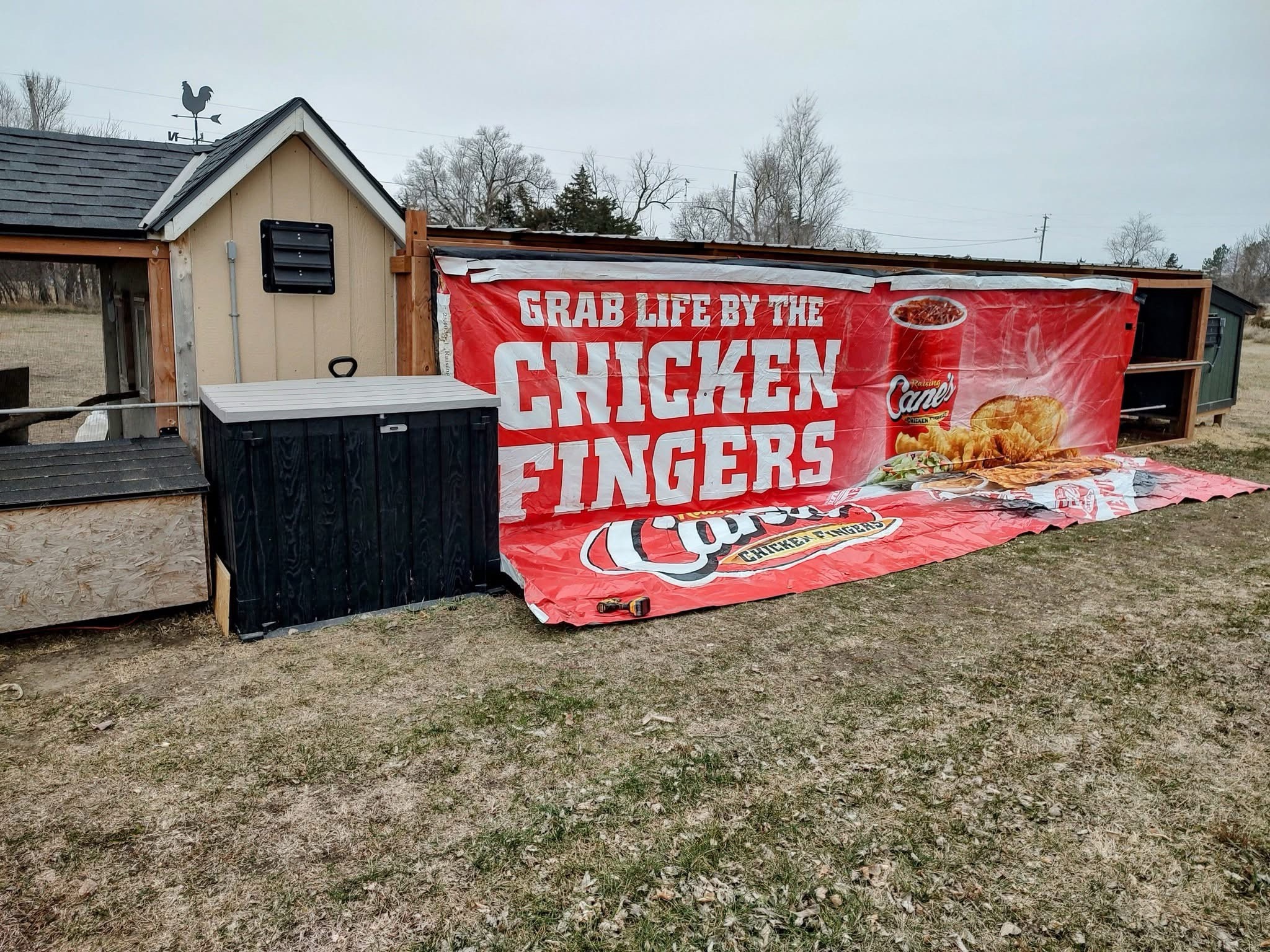 This creative individual turned a used billboard into a chicken run cover!