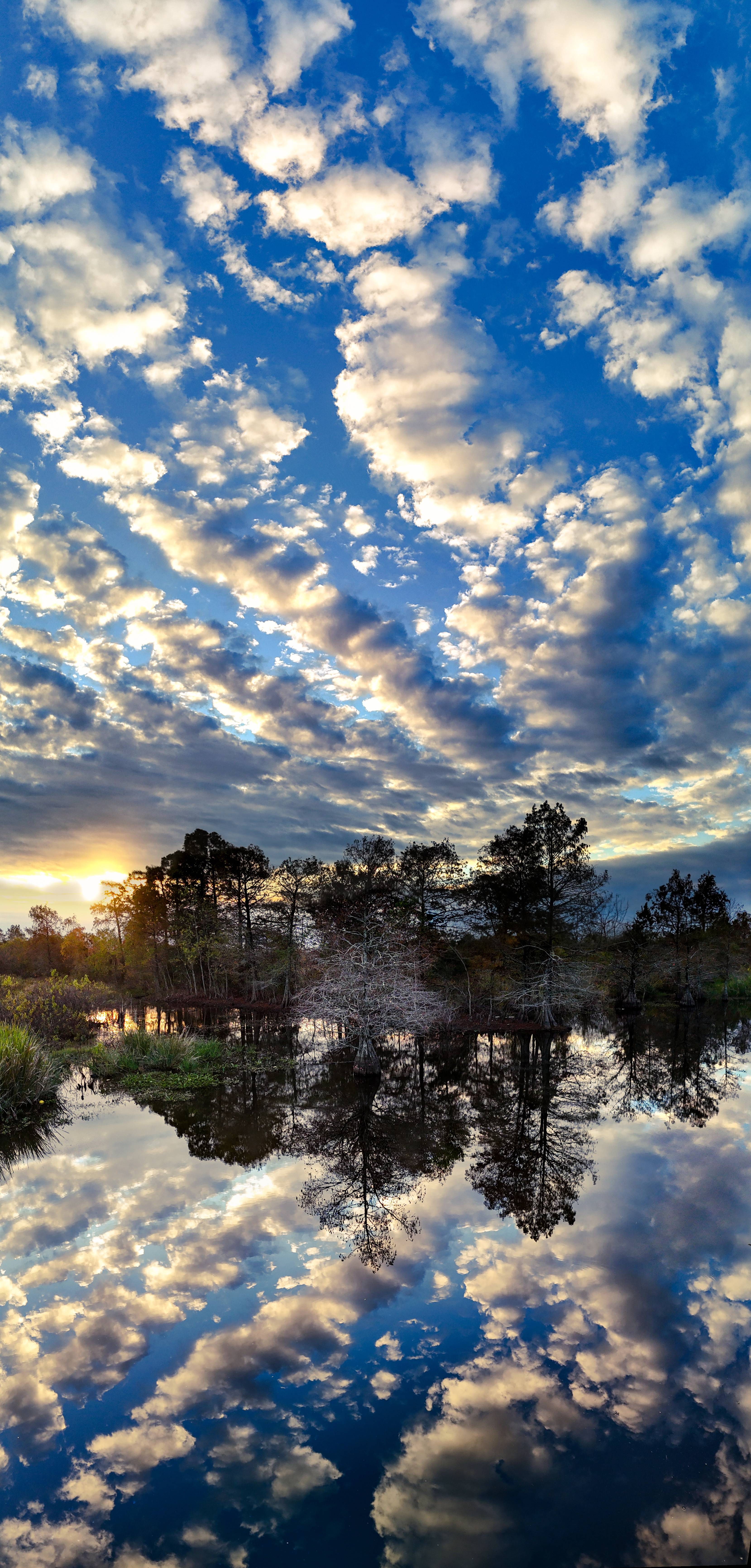 A Dreamy View: Endless Clouds Over a Texas Swamp
