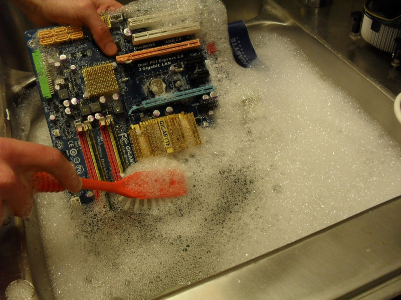 Bidding Farewell to Those Pesky Bugs and Viruses