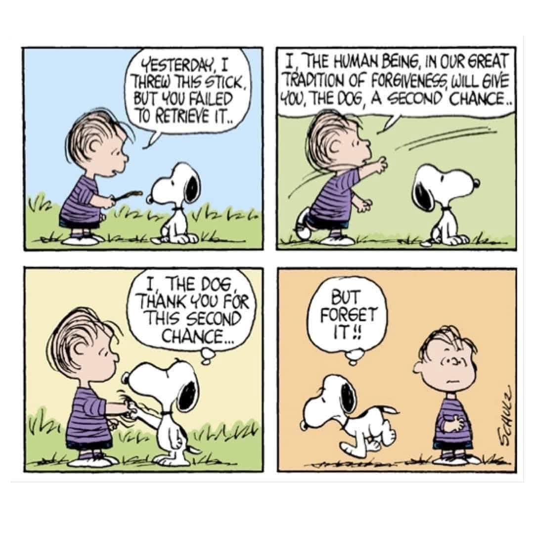 Your Daily Dose of Peanuts