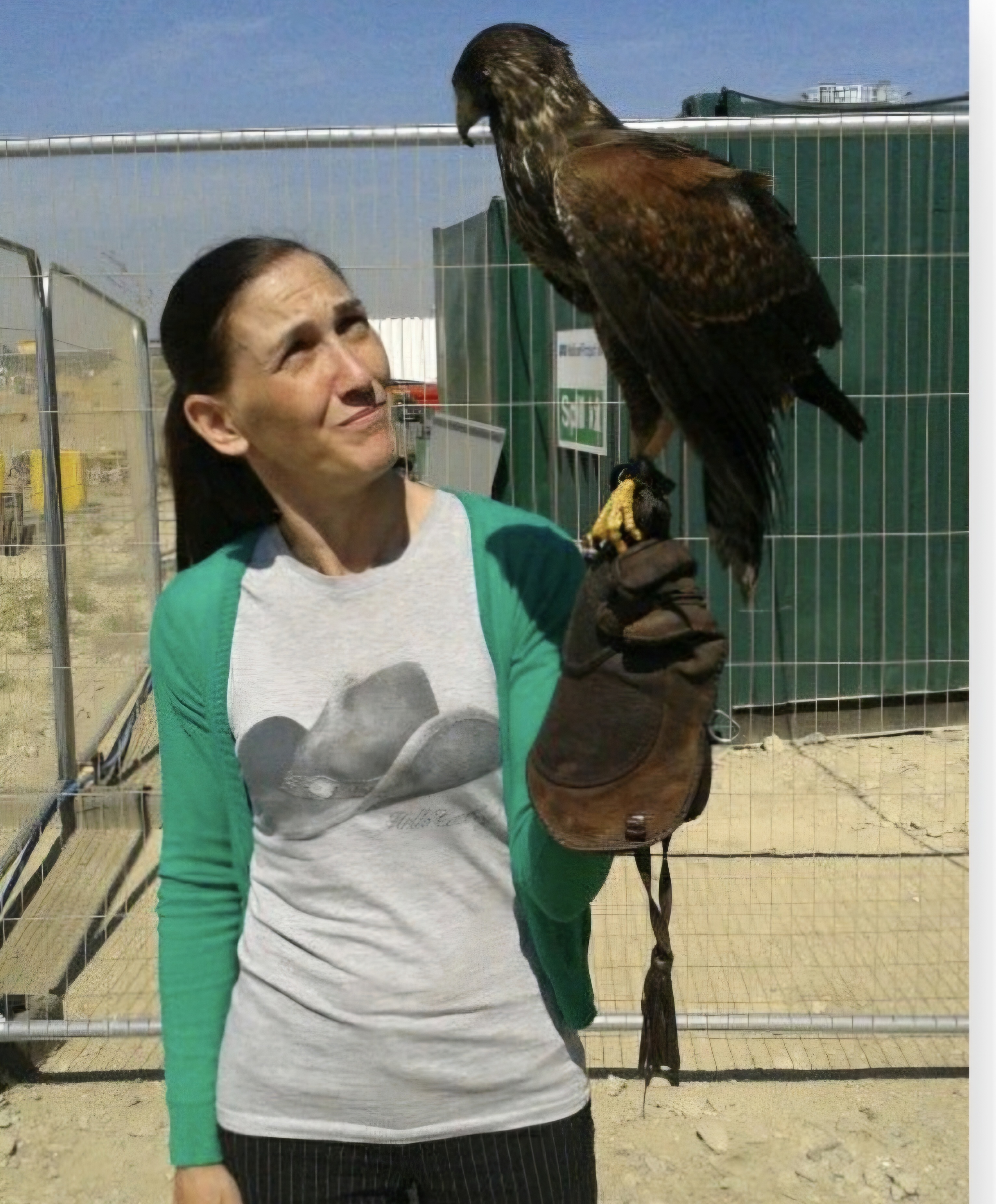 Meet the Bird Controller of Felixstowe Port