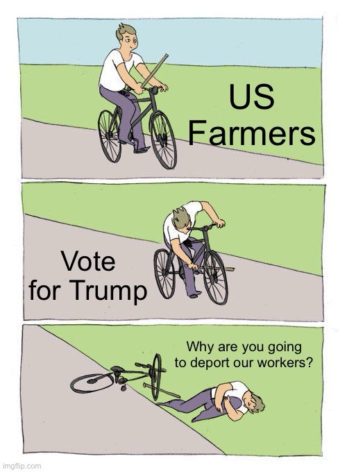 Why Would You Do This to Us?!