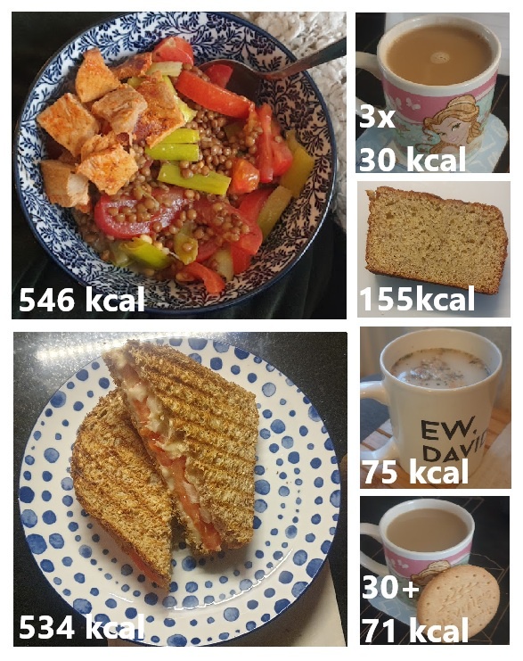 Calorie-Deficit Journey: Day 22 of 123 - Over the Limit at 1501 Calories