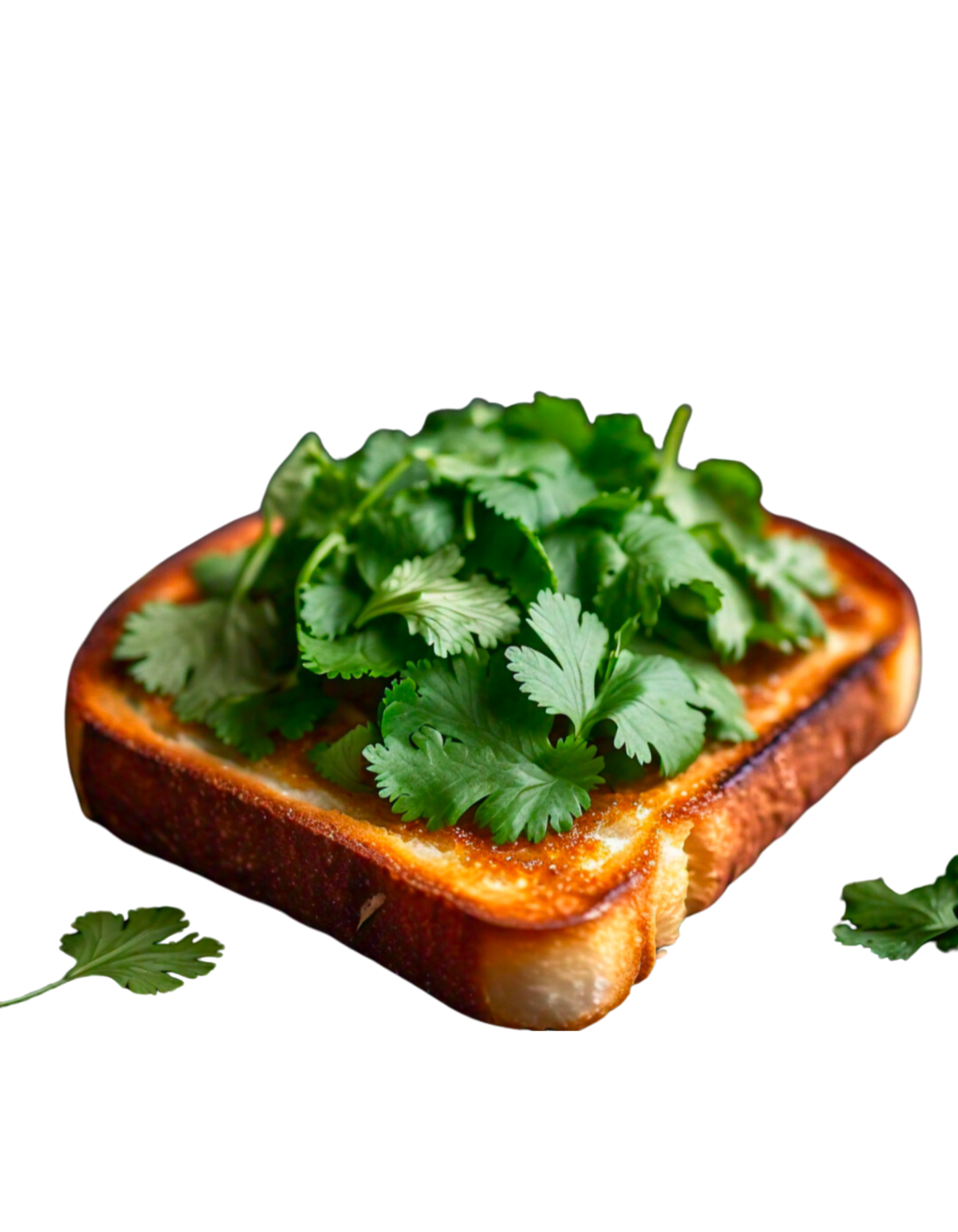 Delicious Cilantro Toast: A Flavorful Twist