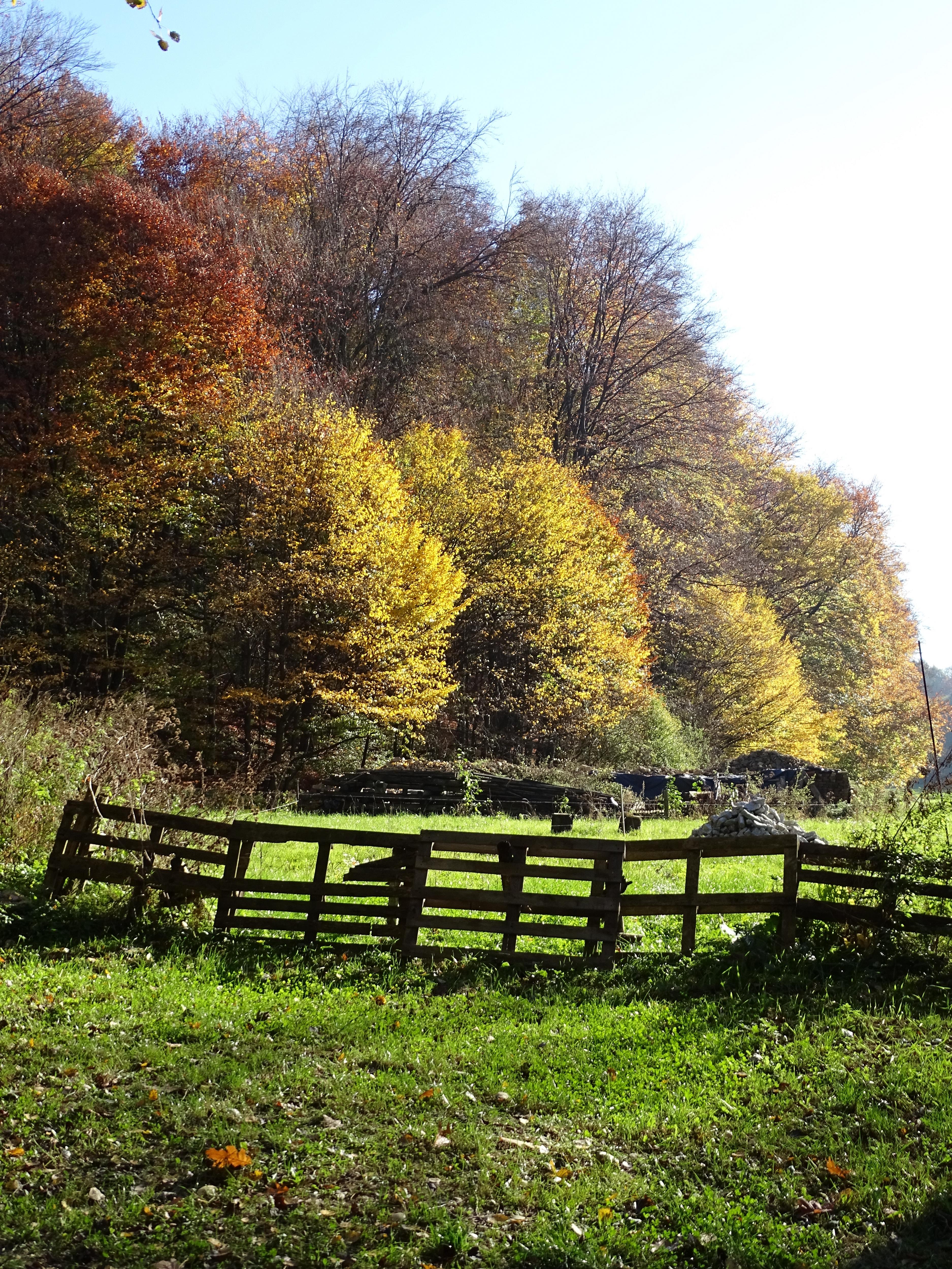 Exploring the Beauty of Boåse Oko Nature Reserve