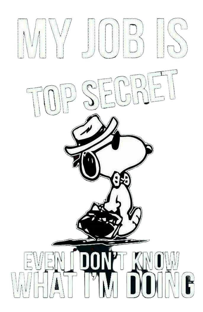 My job is classified – even I can't figure it out!