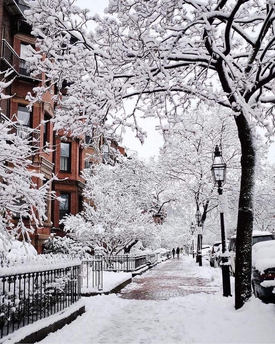 Do you enjoy snowy days or prefer the warmth?