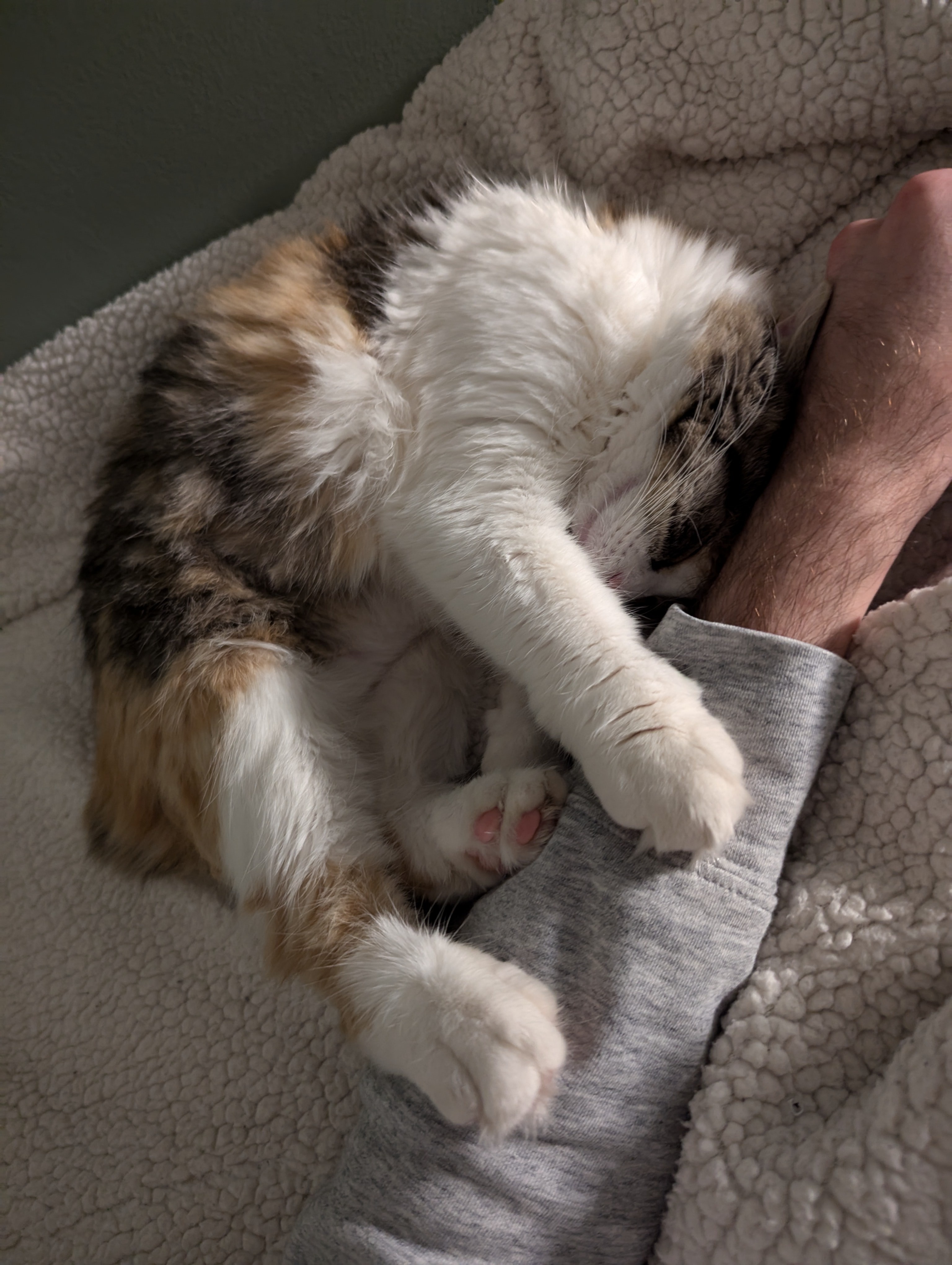 A Simple Touch That Speaks Volumes
