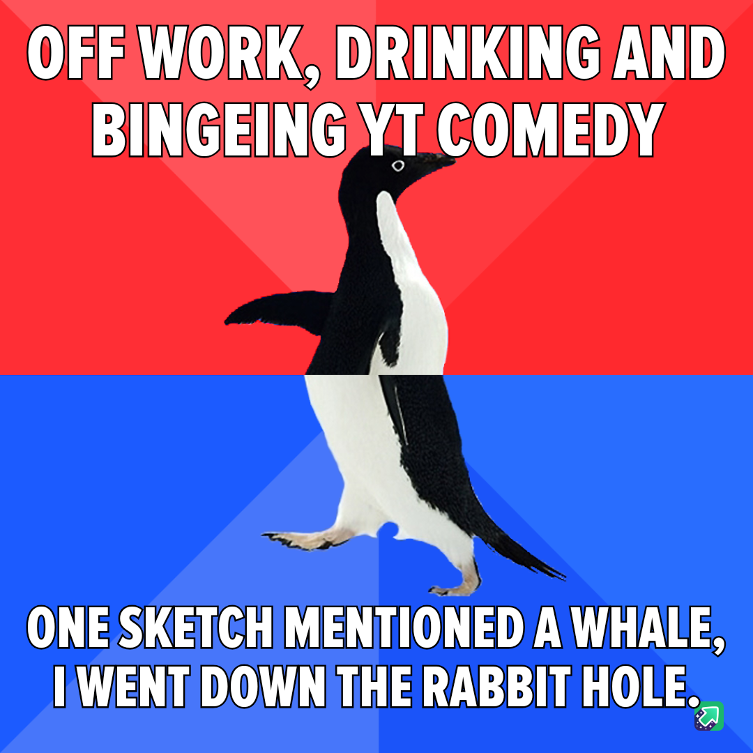 Random trivia you never knew you needed!
