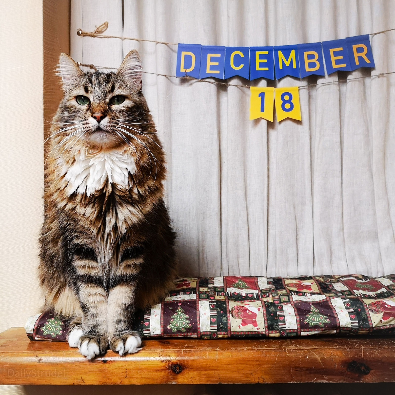 Mark Your Calendars: December 18
