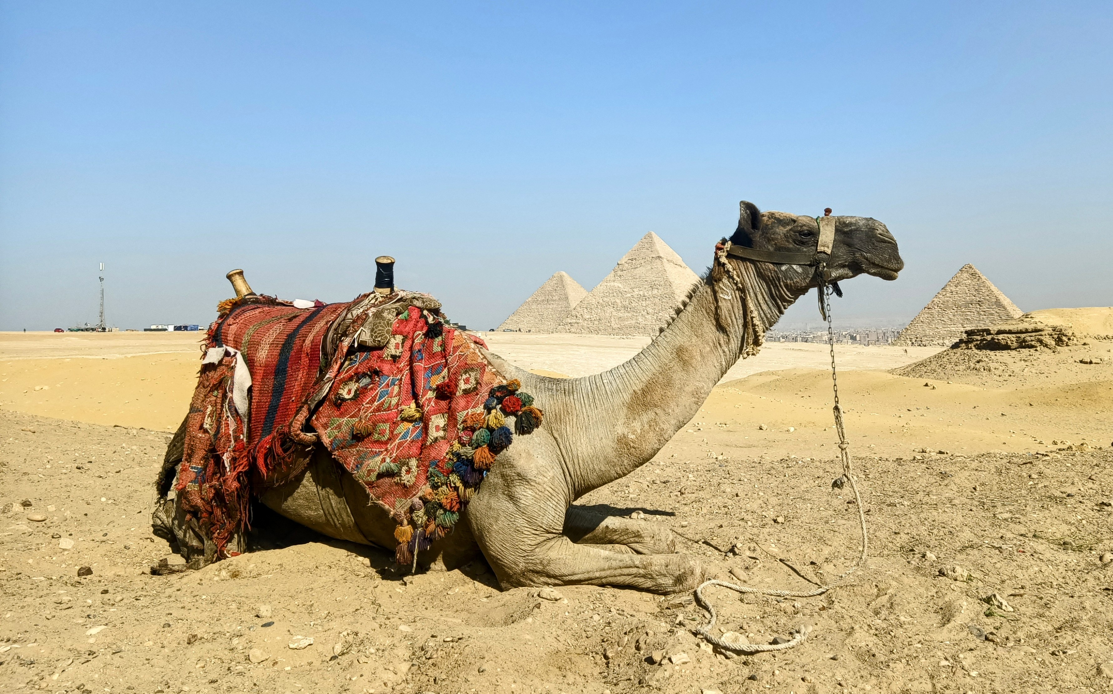Embarking on a Solo Adventure Through North Africa in 2024