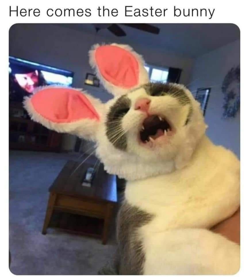 Memes and more: Volume 127