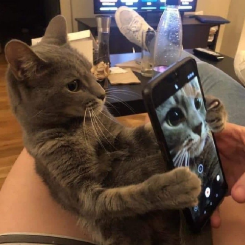 A Quick Selfie Moment