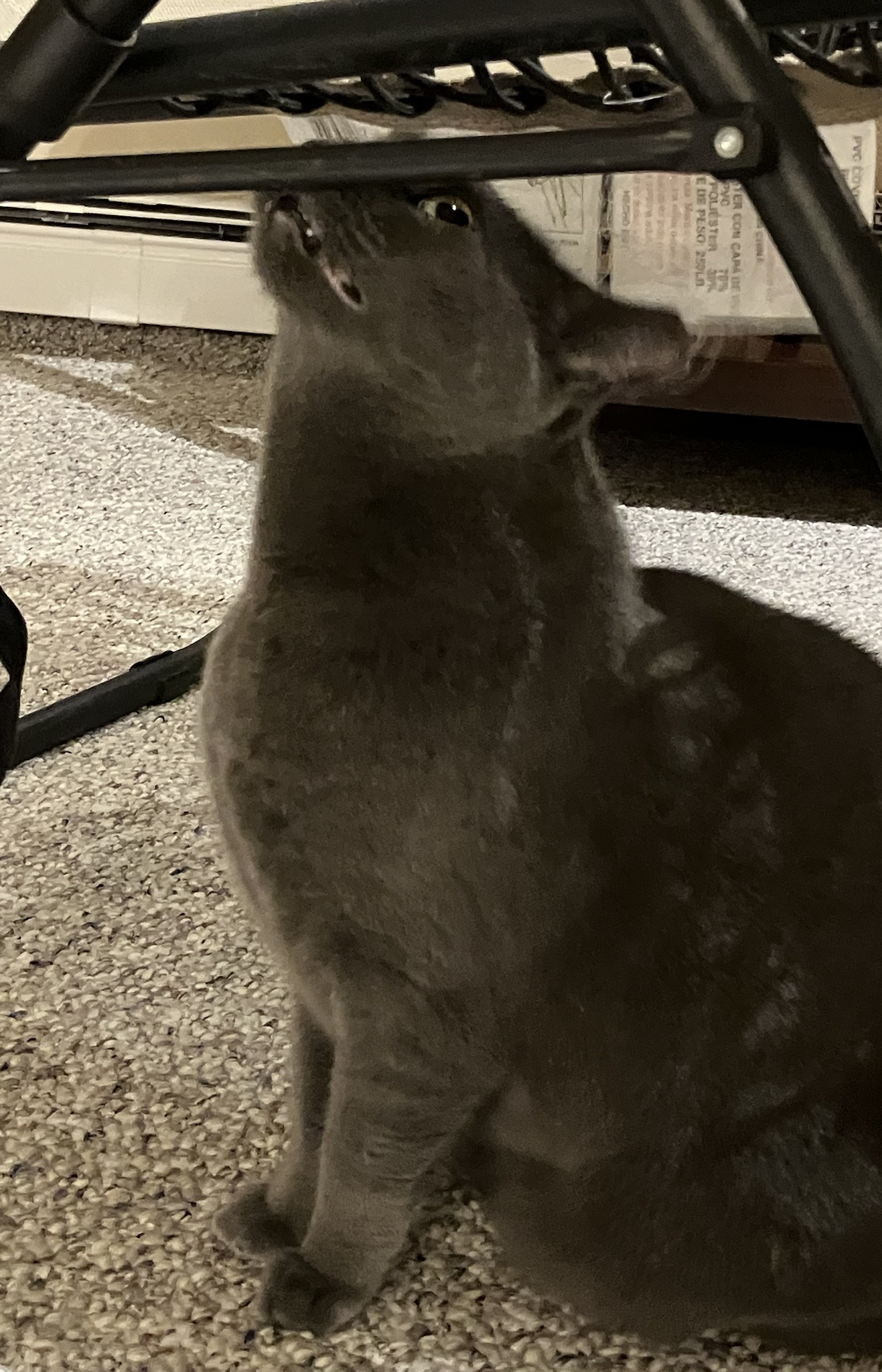Daily Dose of Snickering: Snick Pic #35