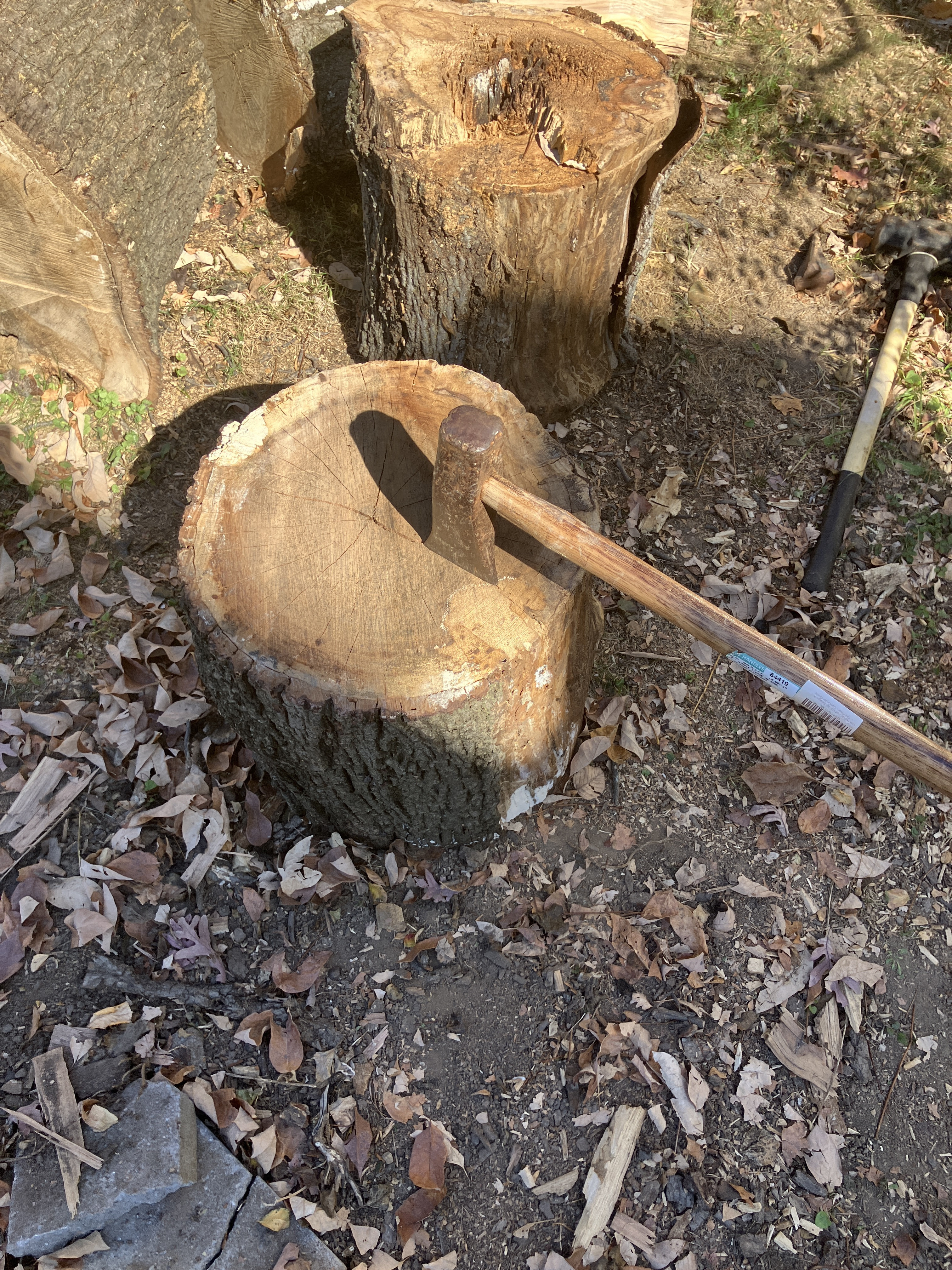 This Week's Log Splitting Adventure