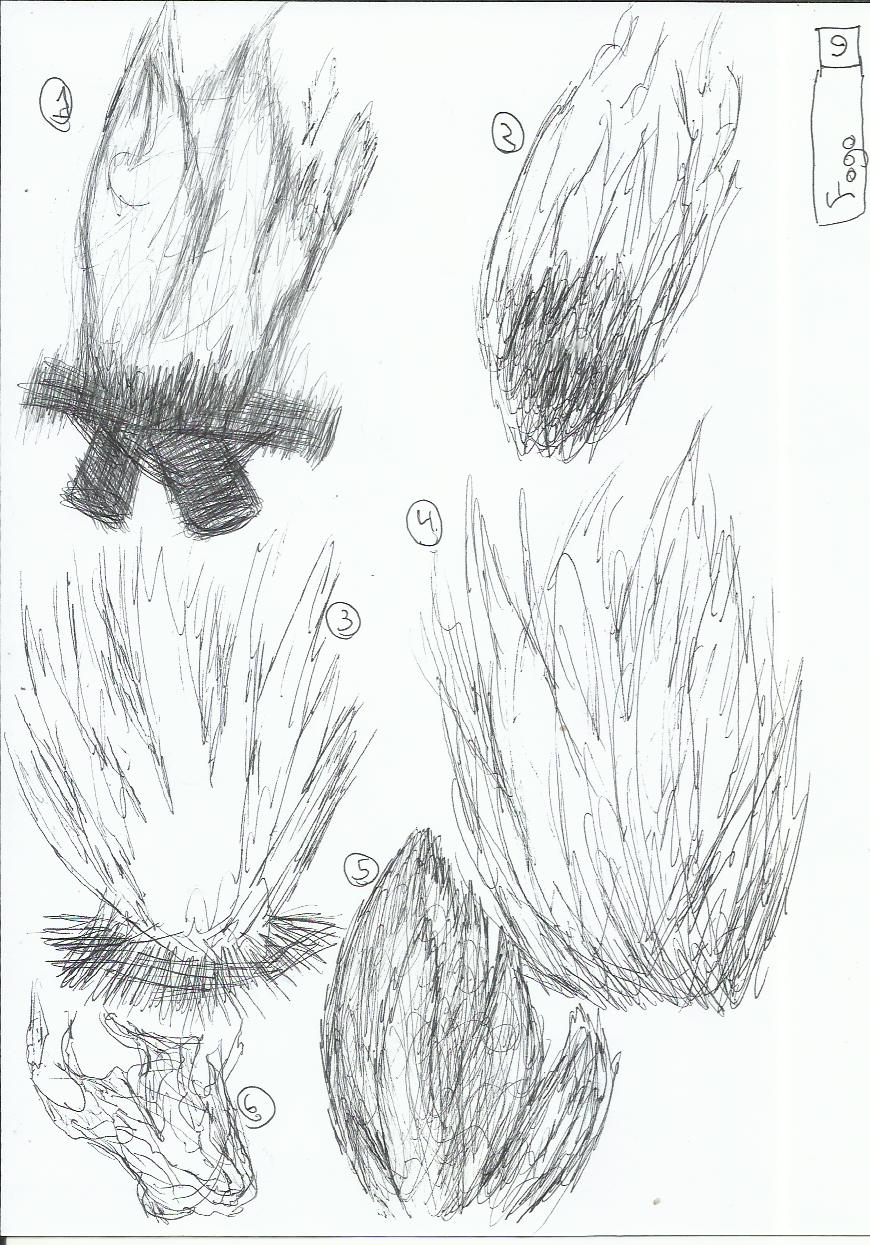 Creative Scribbles: Days 9 & 10 Featuring Fire and Birds