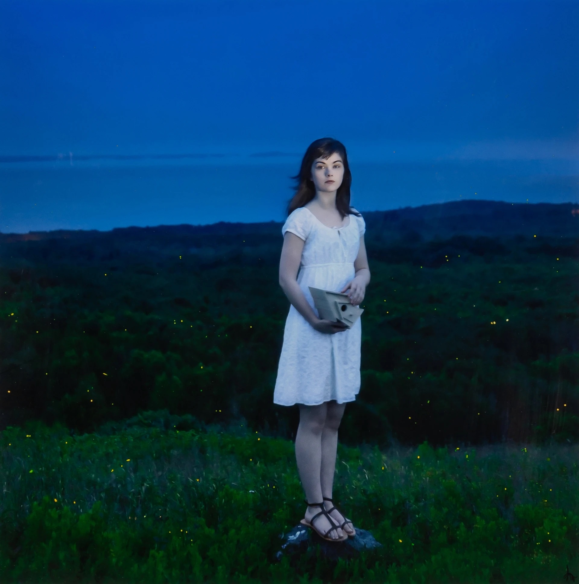 Cig Harvey's Enchanting Journey with Devin and the Fireflies (2010)