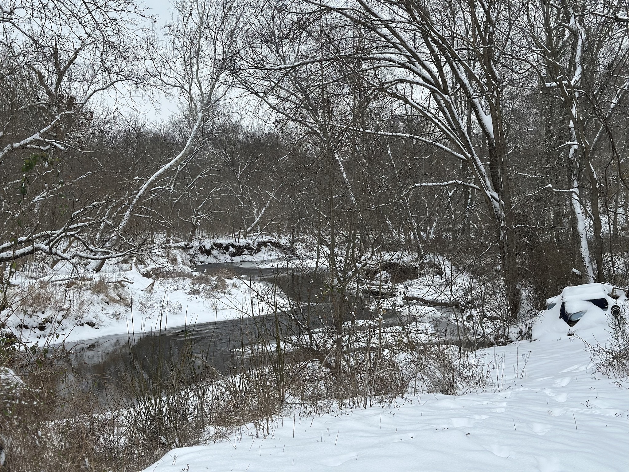 Today's Stunning View from My Backyard