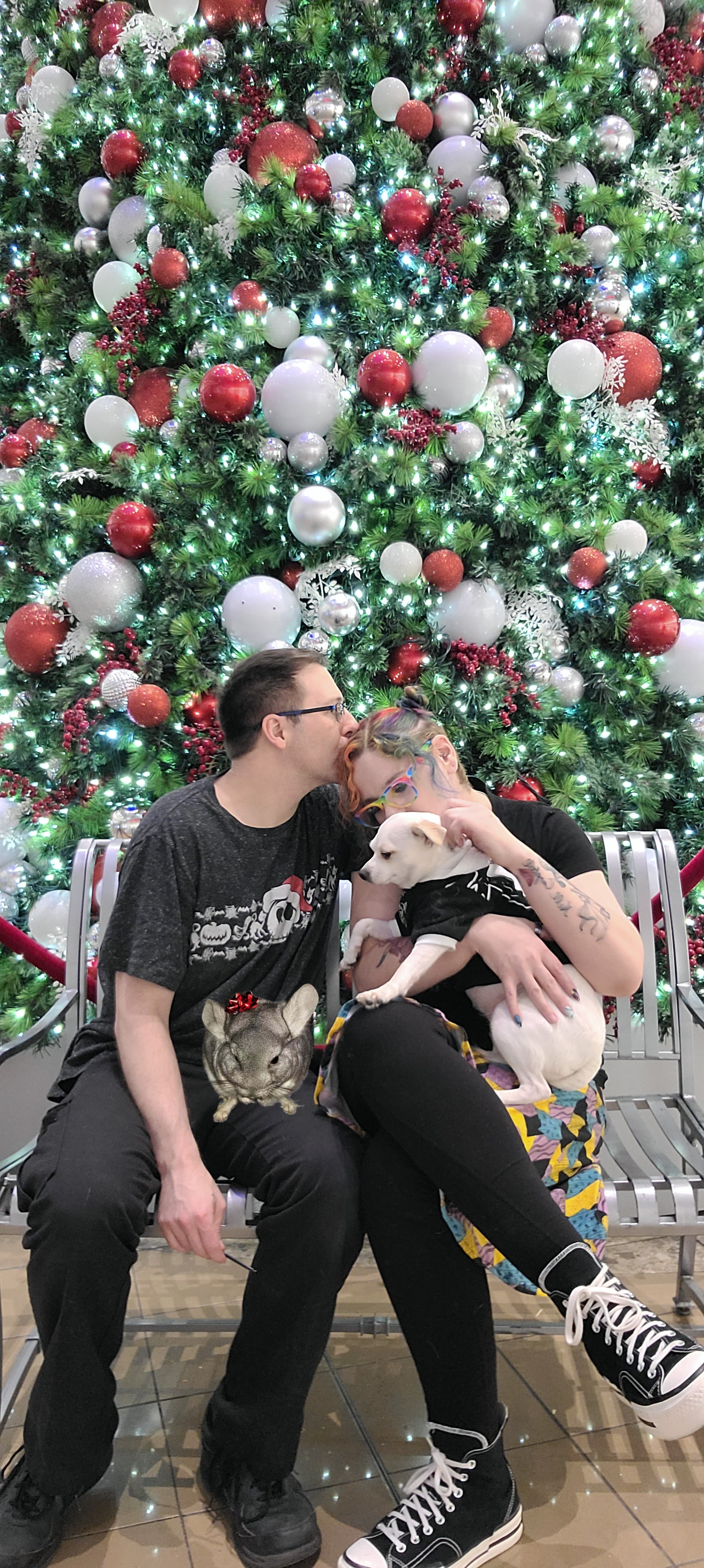 Merry Christmas to you, my delightful unwashed beasts!