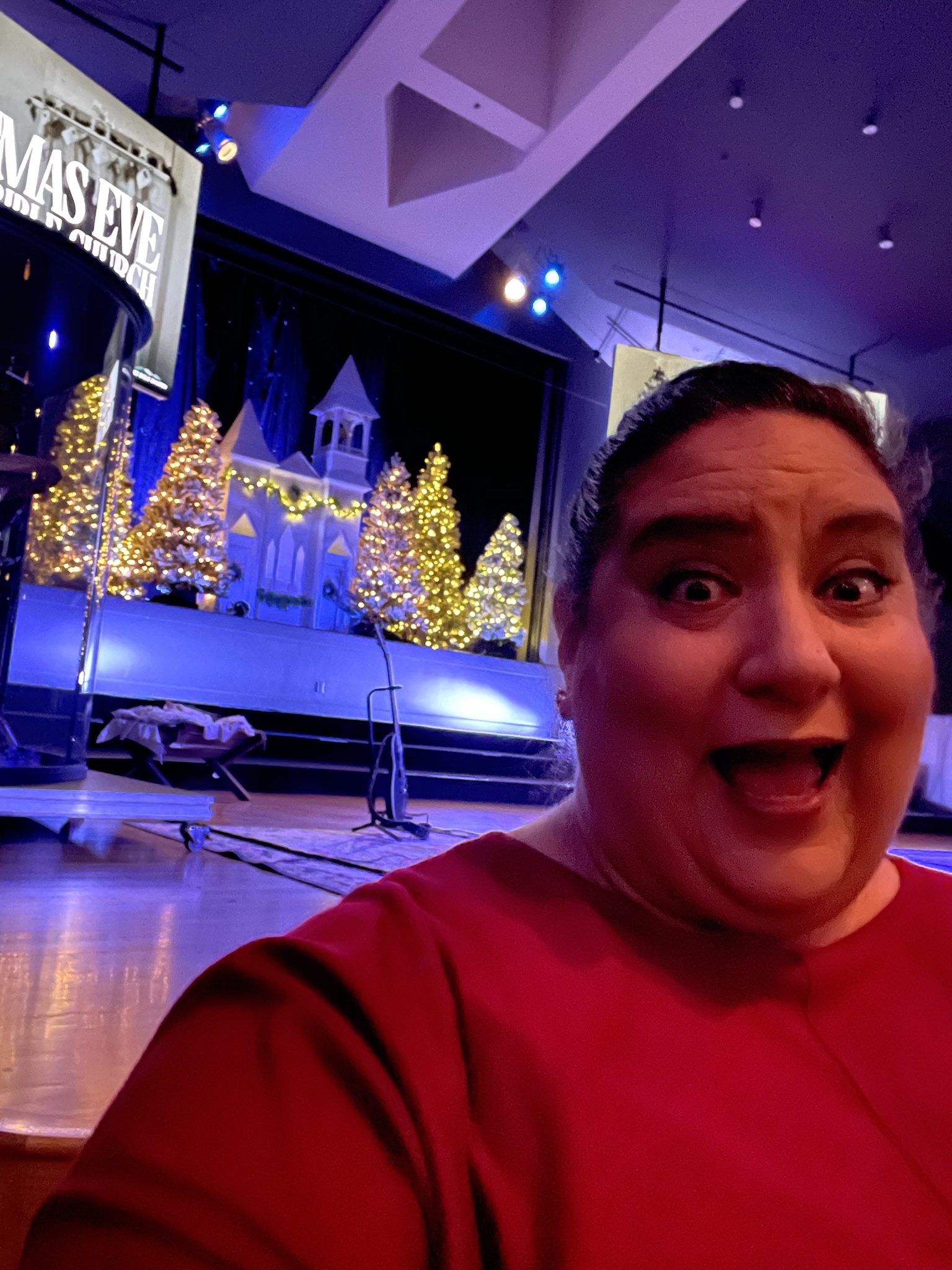 Getting into the Christmas Spirit with Some Fun!