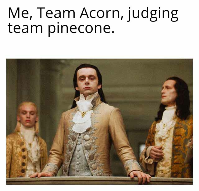 Celebrating the greatness of acorns!