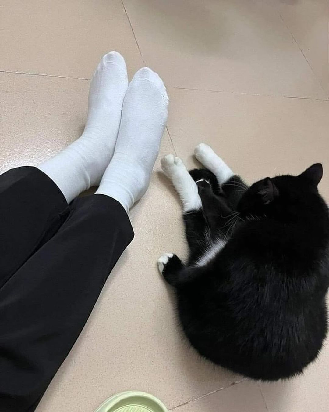 The Ultimate Sock Collection