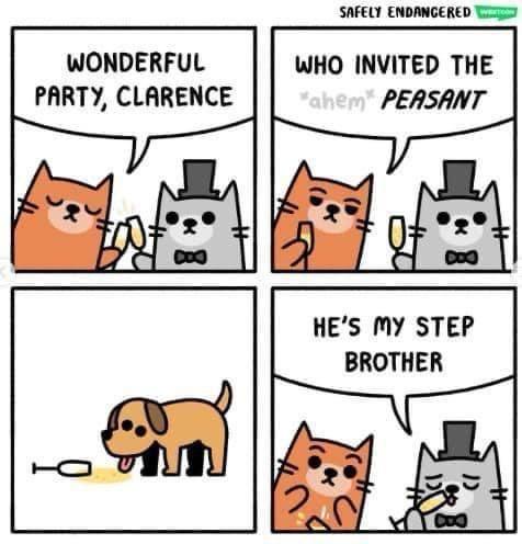 Get Ready to Celebrate: It's Party Time!
