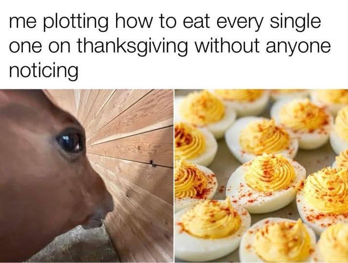 It's That Magical Time of Year Again