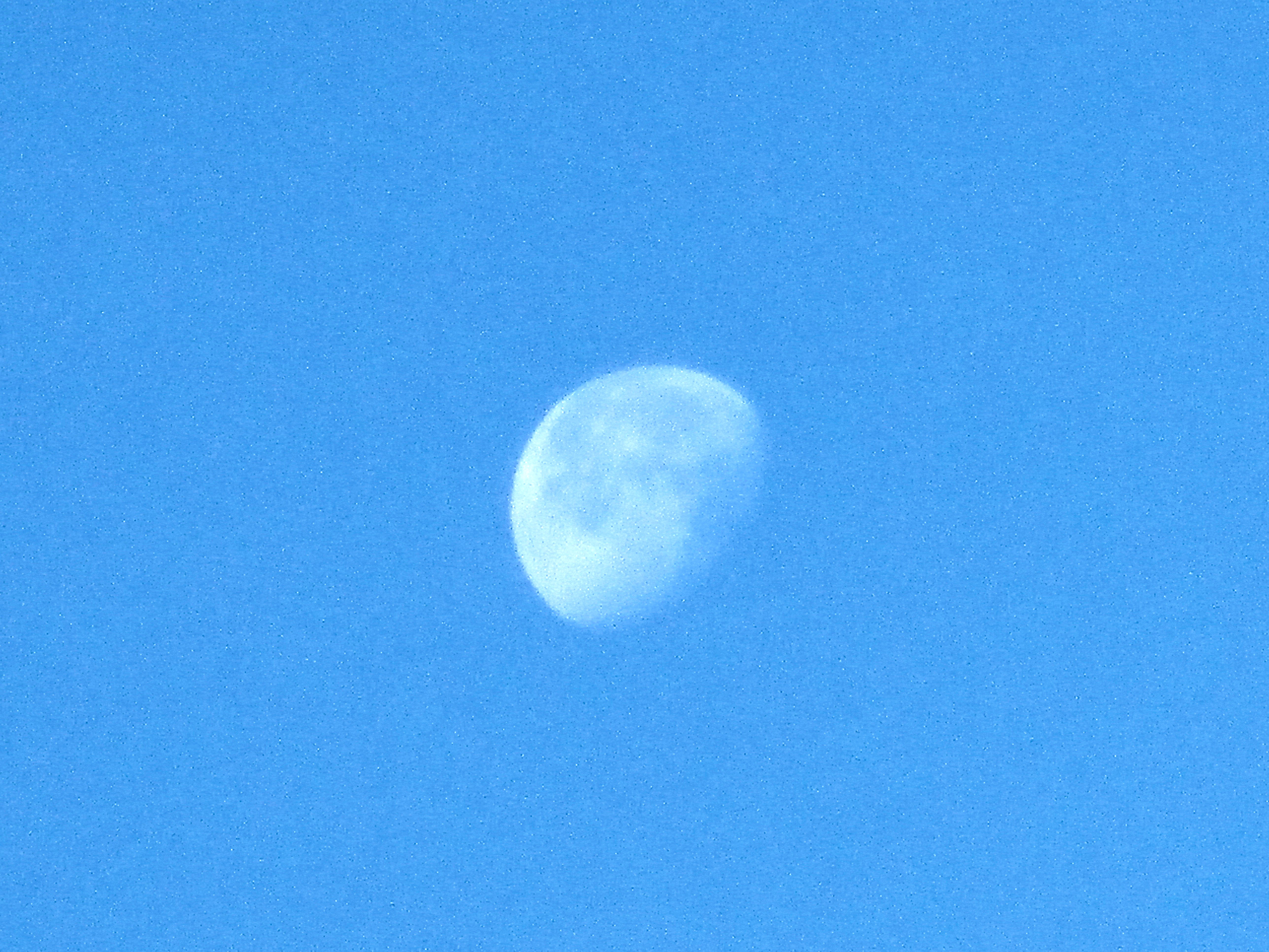 The Moon Illuminates the Blue Night Sky