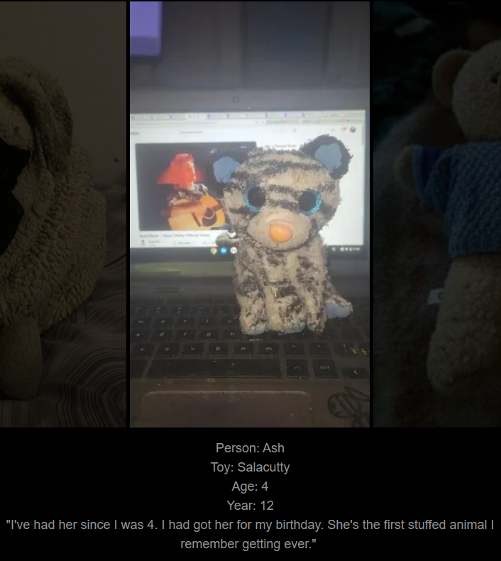 Day 755: Join Me on My Journey at www.saidtheskinhorse.com - Celebrating Childhood Treasures!