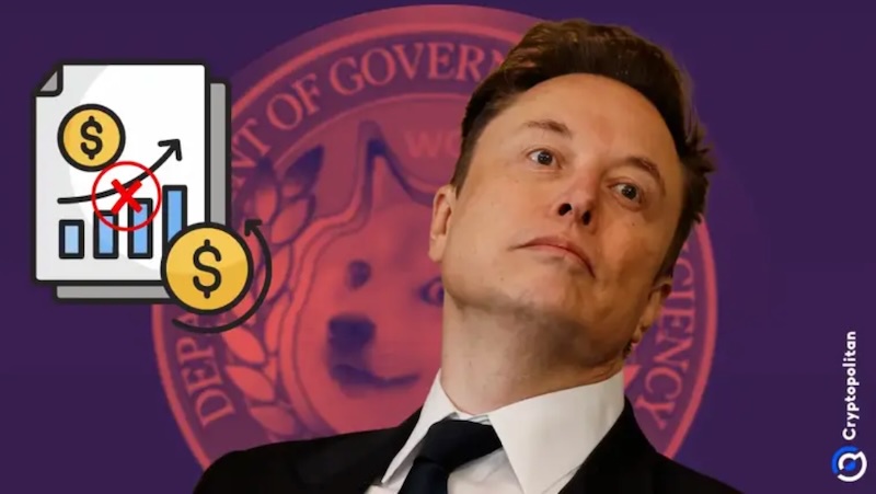 Musk Claims His D.O.G.E. Team is Quickly Halting Payments, But a Judge Blocks Access to Crucial US Treasury Funds for Social Security and Medicare.