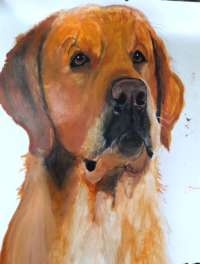 A stunning acrylic painting of a golden retriever that captures its spirit!