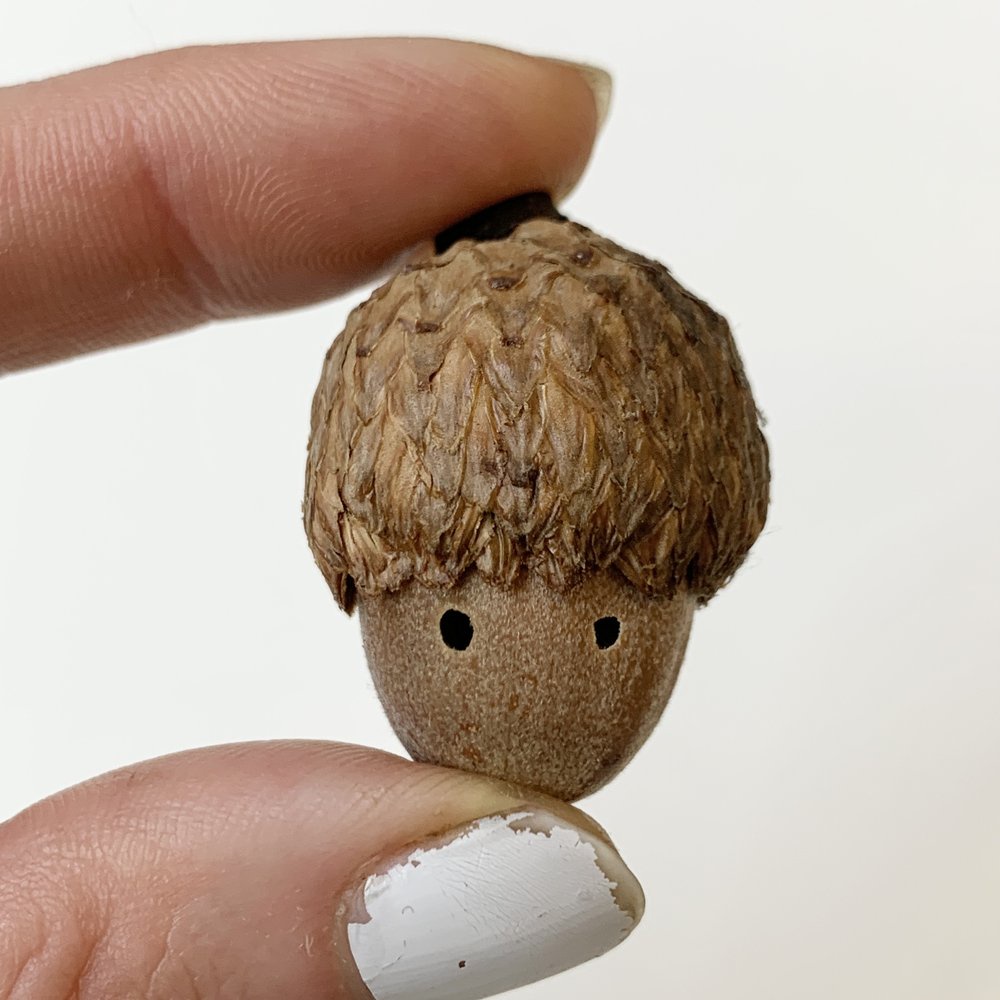 Introducing Mr. Acorn!