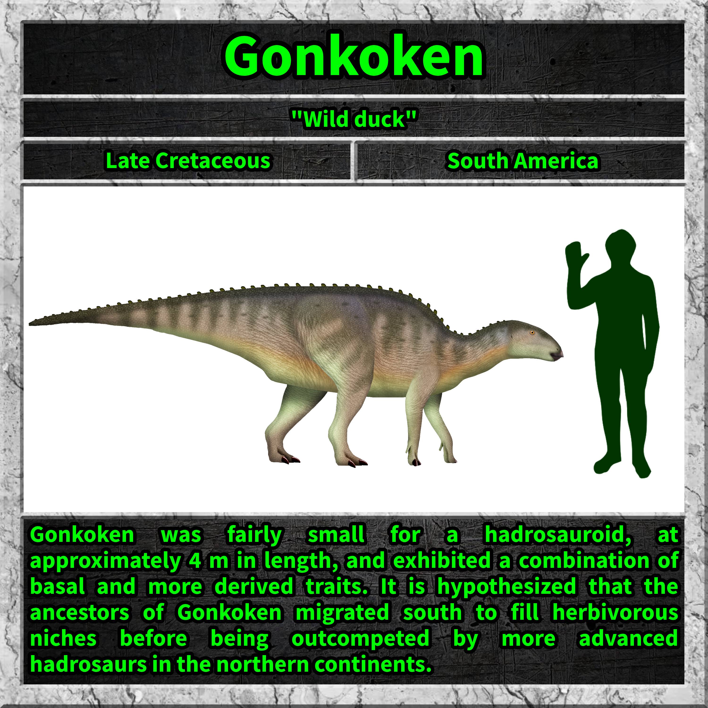 The Mysterious Gonkoken: What Is It?