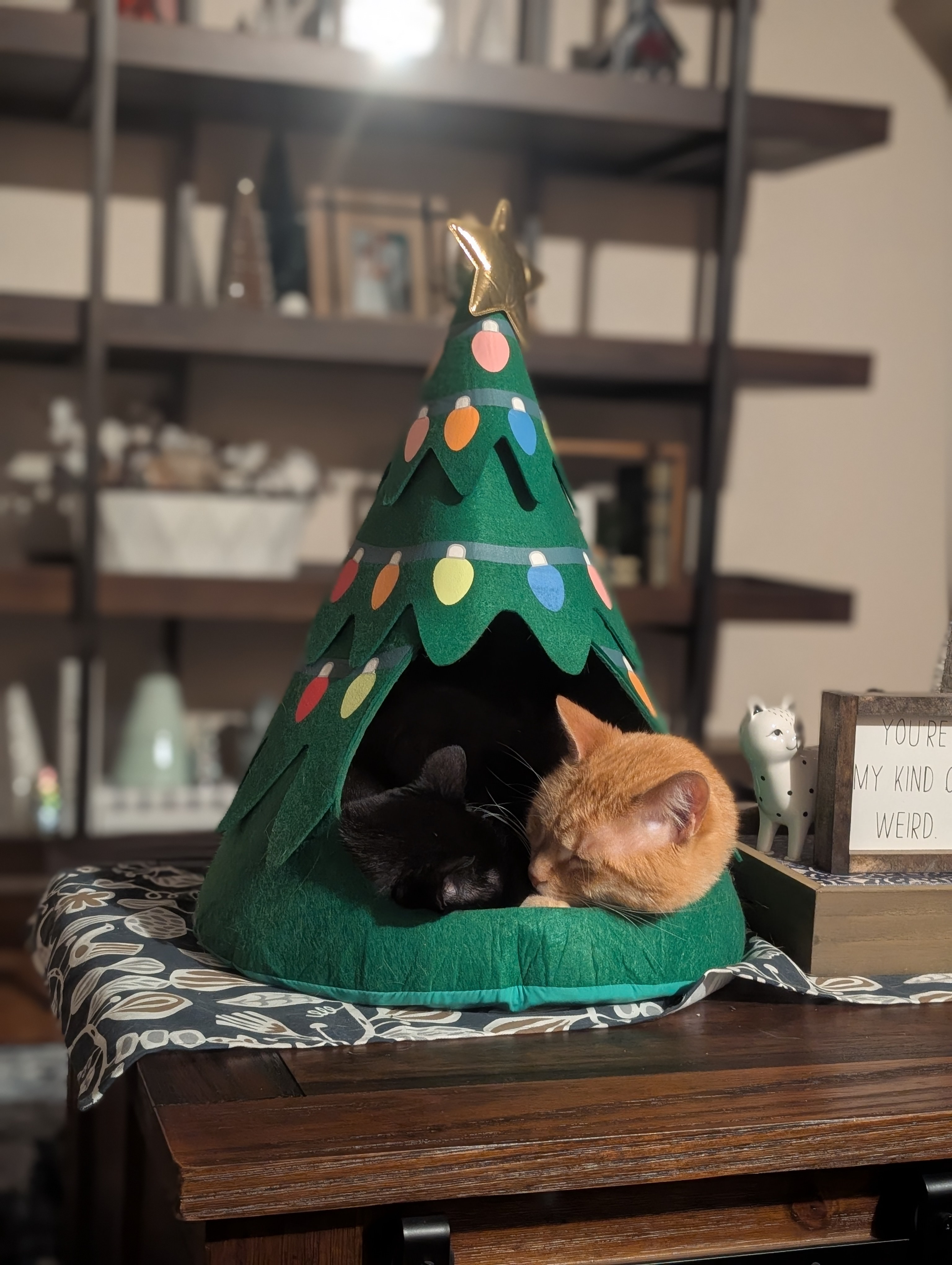 Our Holiday Decorating Adventure: A Festive Transformation