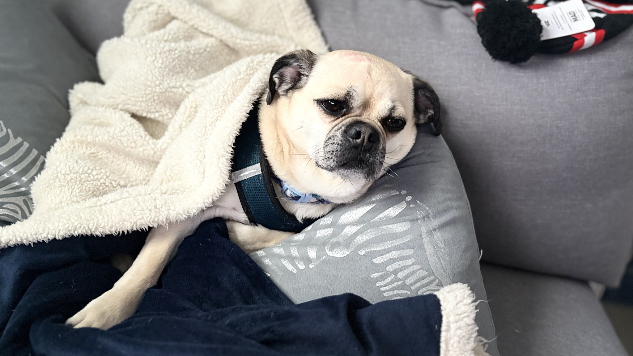 Lazy Chug: The Ultimate Chill Vibe