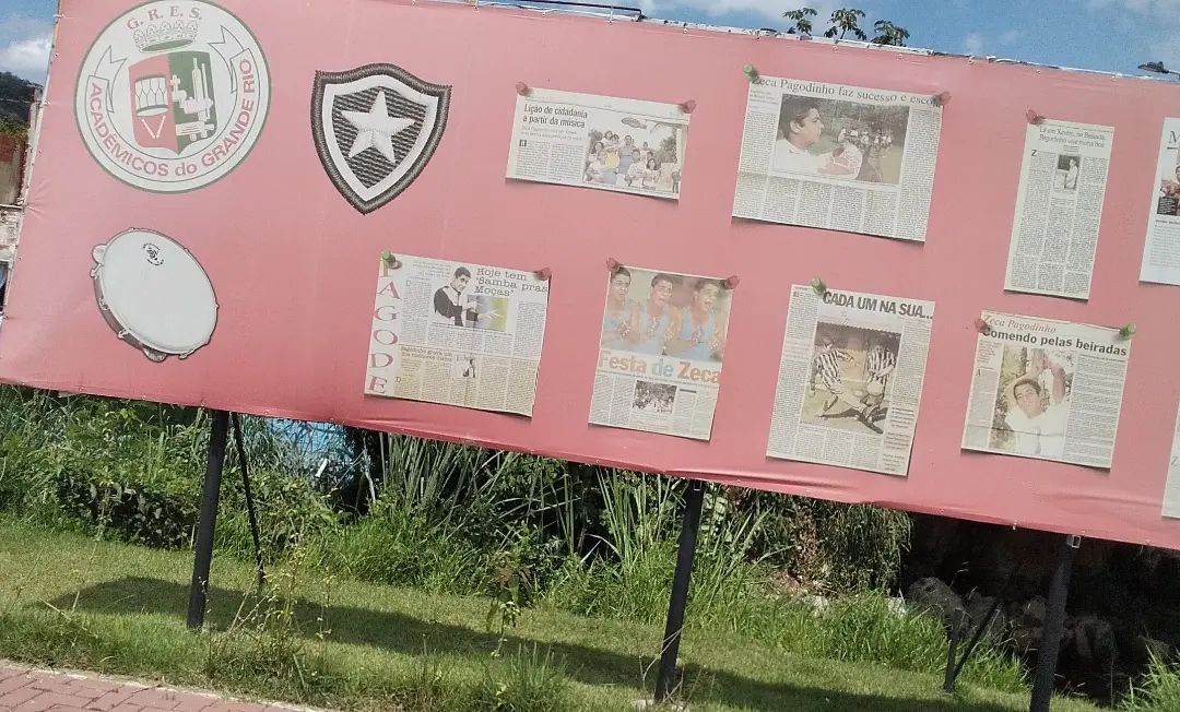 Zeca Pagodinho's Epic Moments: Botafogo Fan Photos from 2024