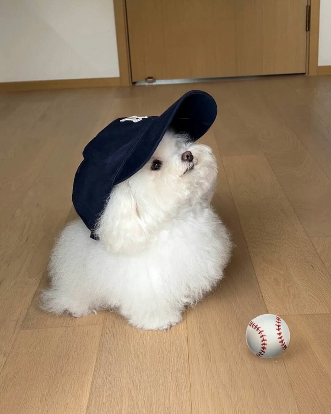 Ready to Play: Just Put Me in, Coach!