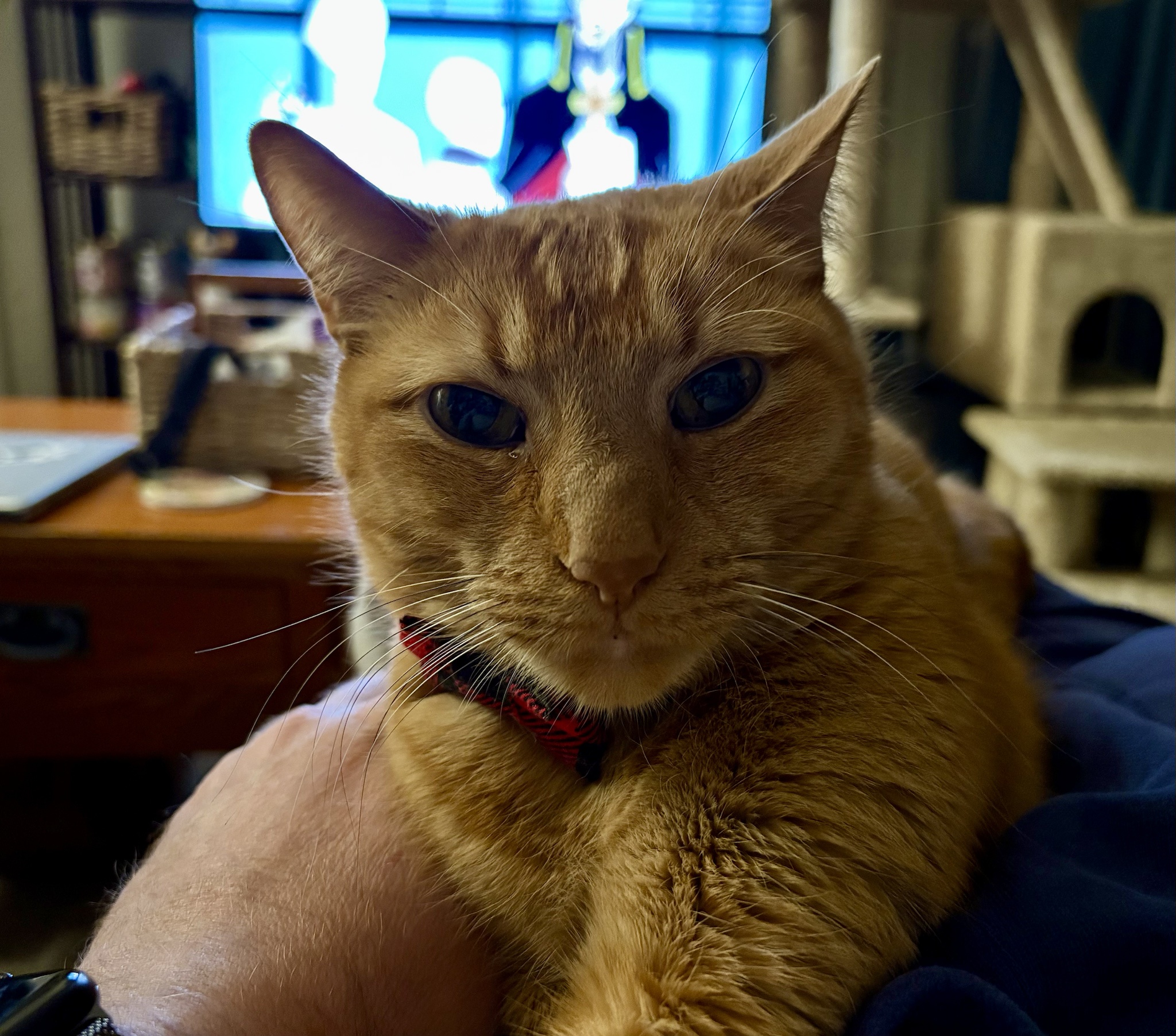 Crumbs are always judging your choices.