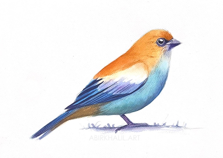 Check out my watercolor masterpiece of a bird!