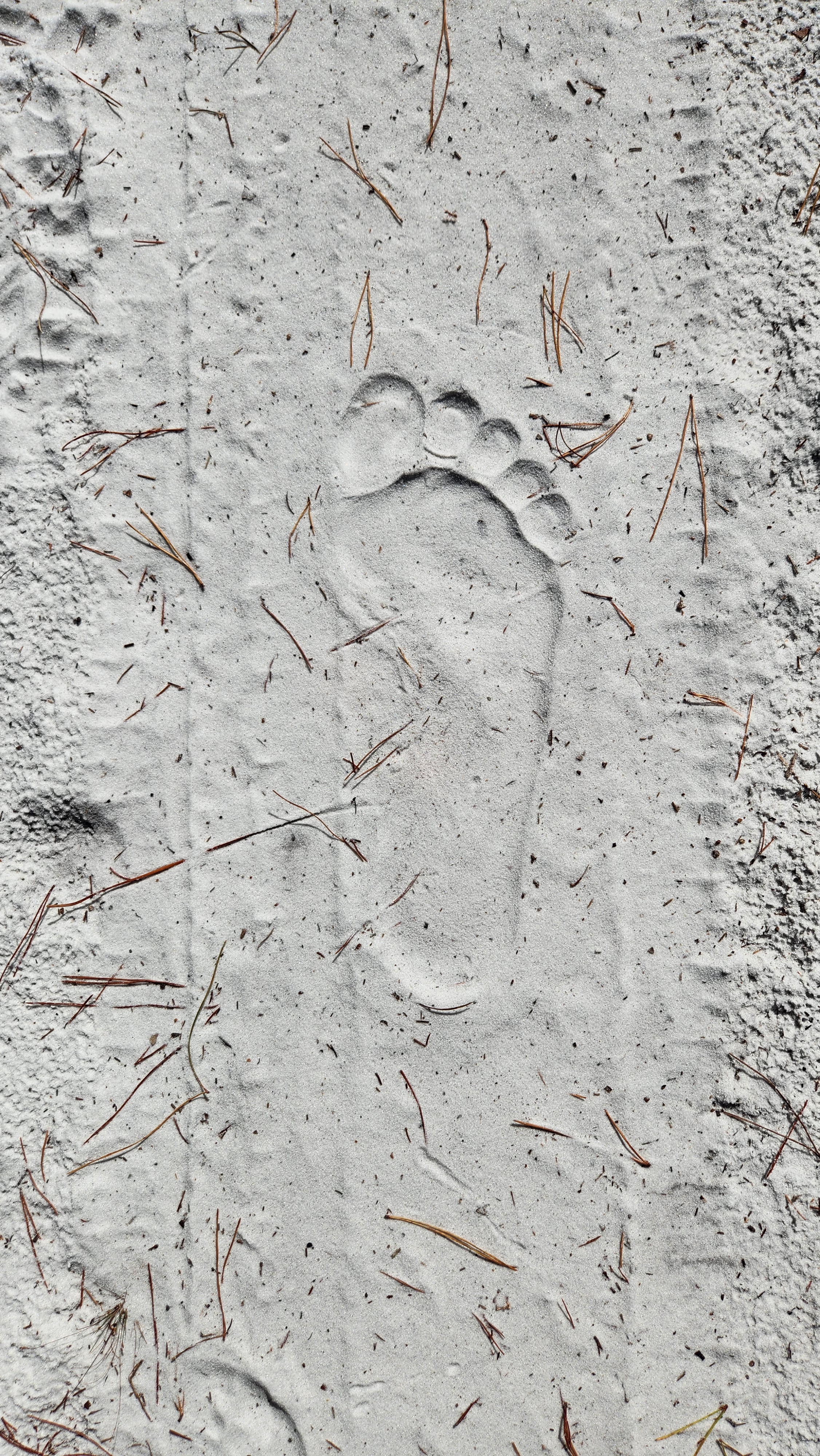 Capture the Moment: Take Nothing but Photos, Leave Only Footprints