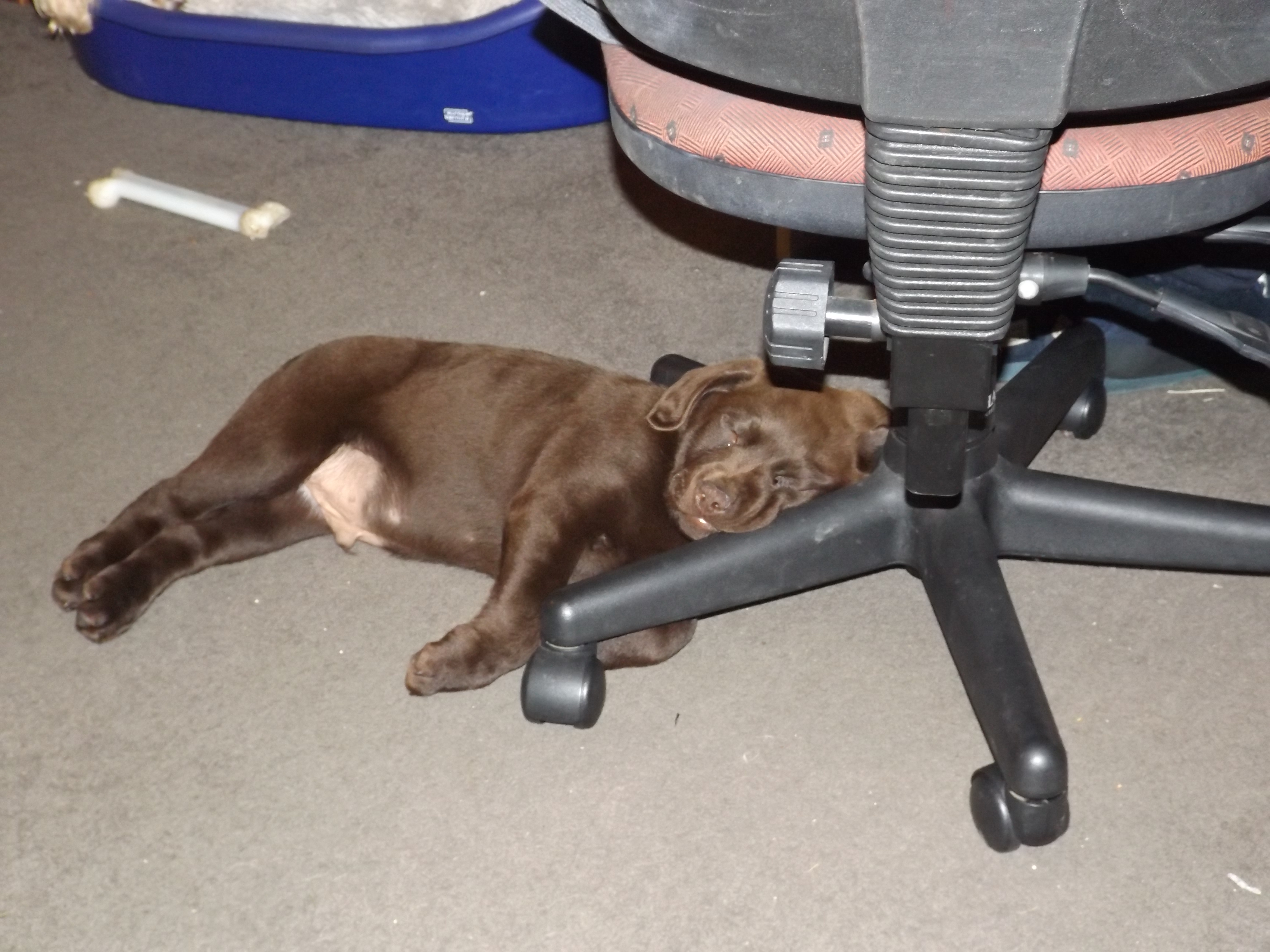 Surviving the Grind: The Struggles of a Long Workday