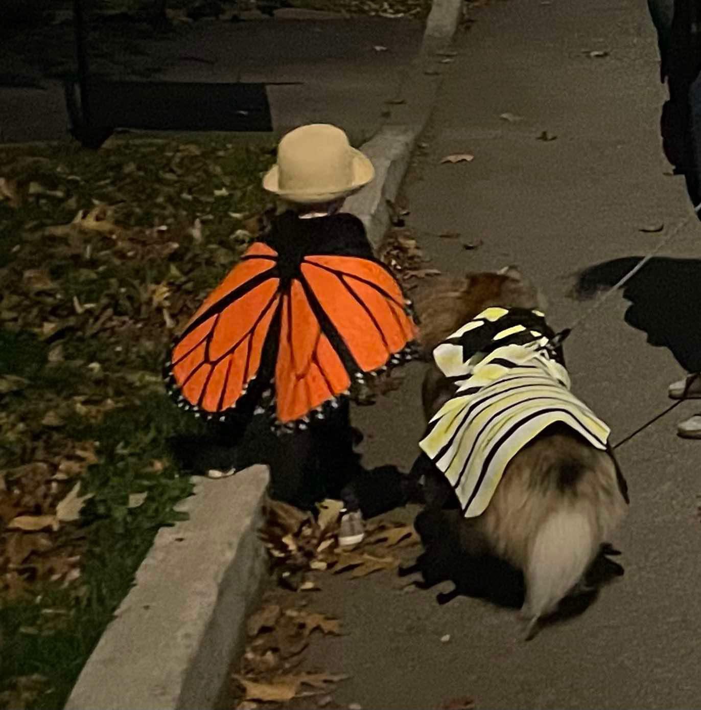 My Adorable Little Butterfly and Her Caterpillar Sidekick!