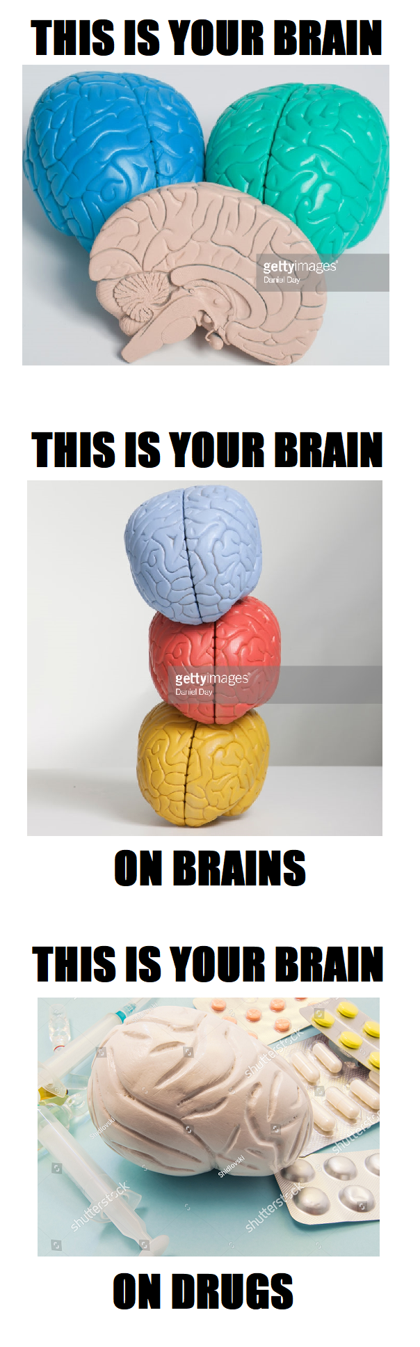 A Glimpse Inside Your Brain